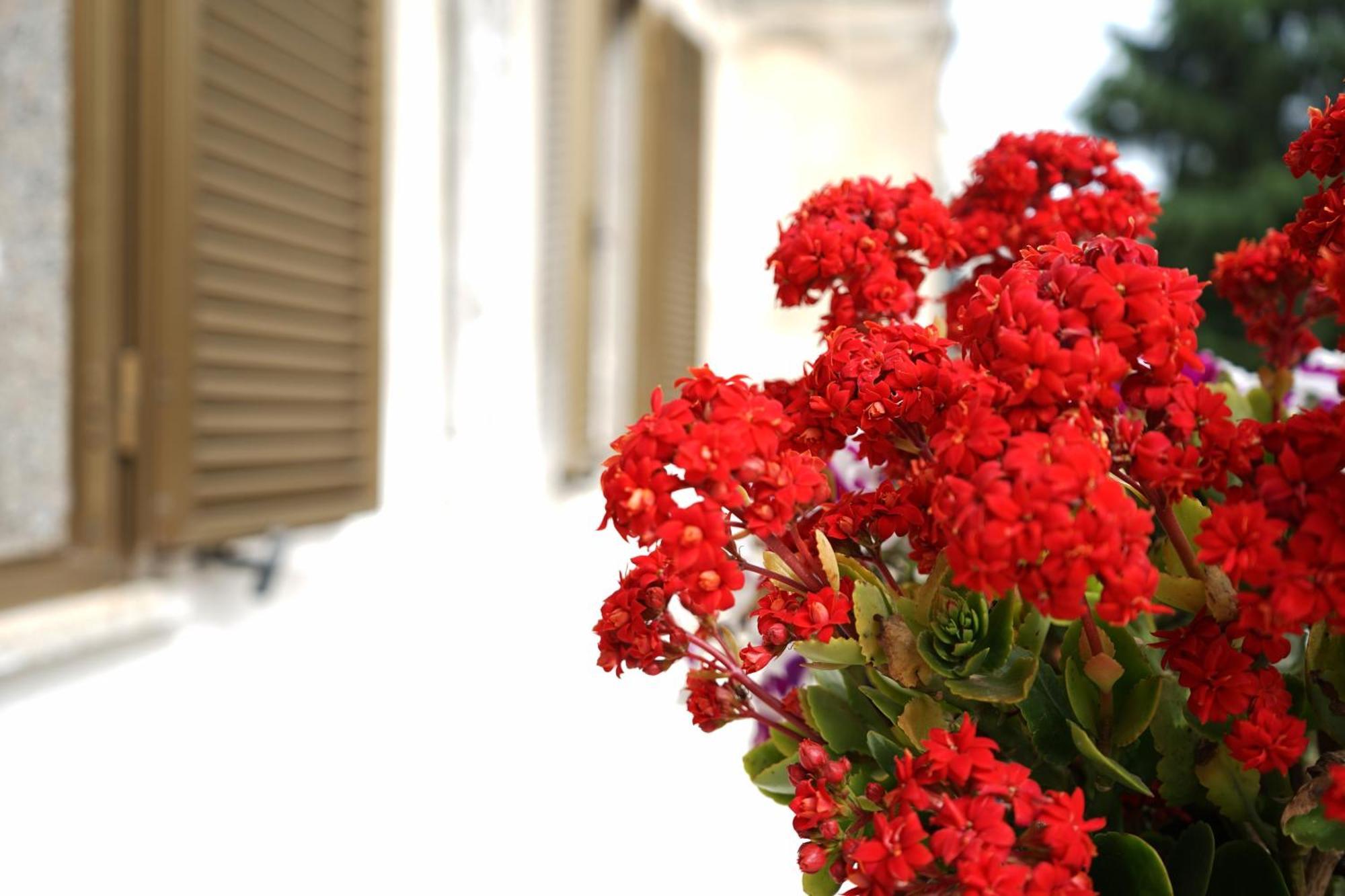 דירות Ostuni Dream House מראה חיצוני תמונה